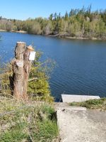 IMG-20260430-WA0004.jpg
