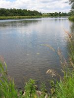 IMG_2887.JPG