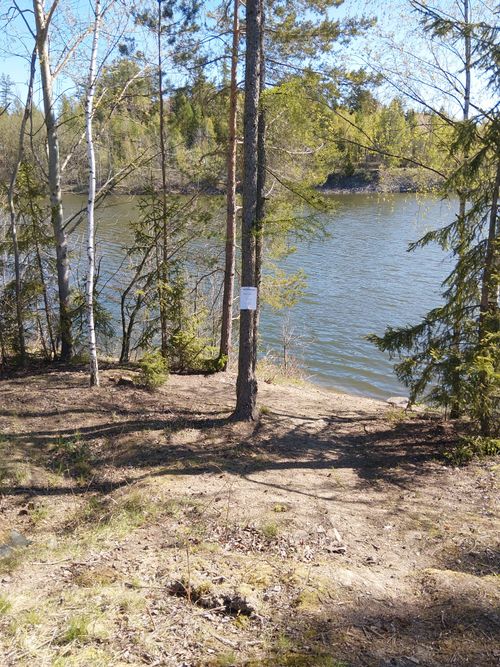 IMG-20260430-WA0000